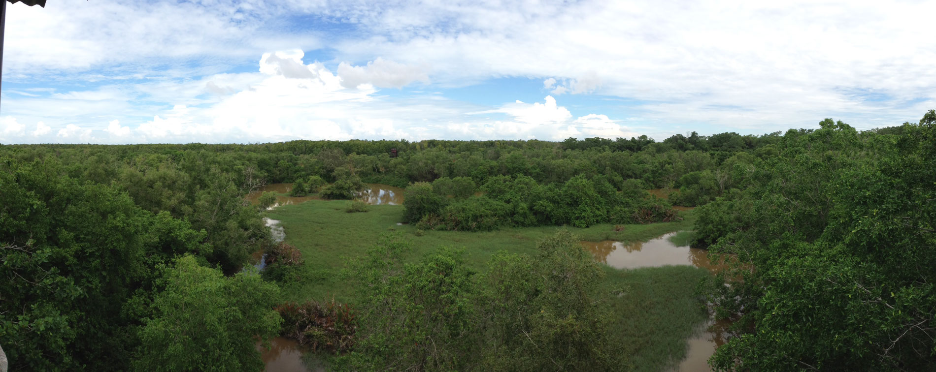 Kuala Selangor Nature Park