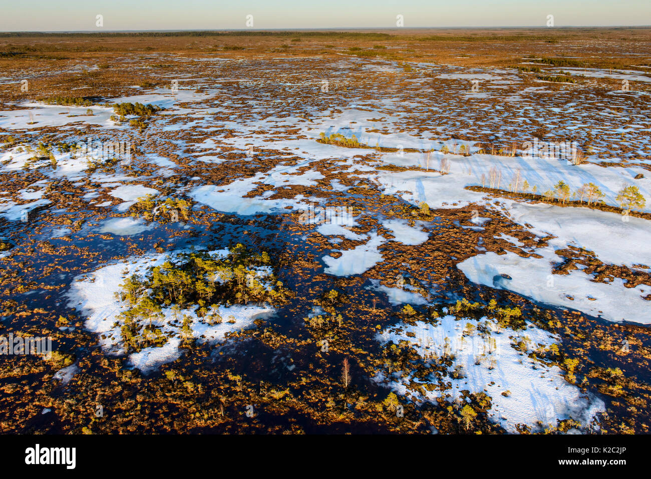 Kuresoo Bog