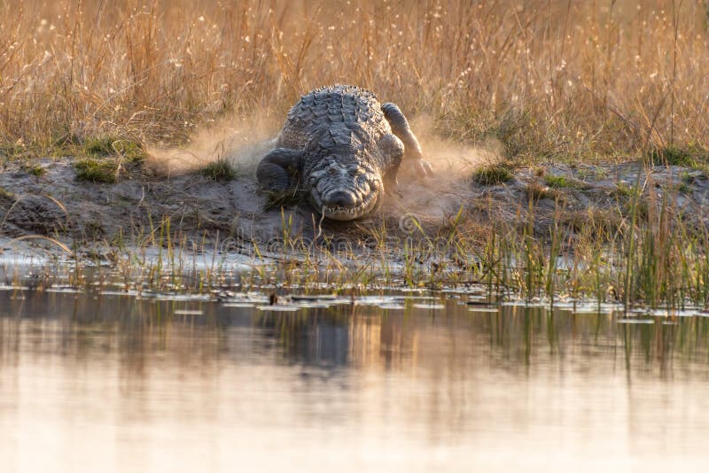 Kwando River