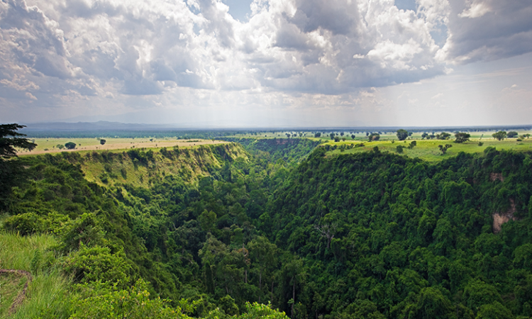 Kyambura Gorge Chimpanzee Trek