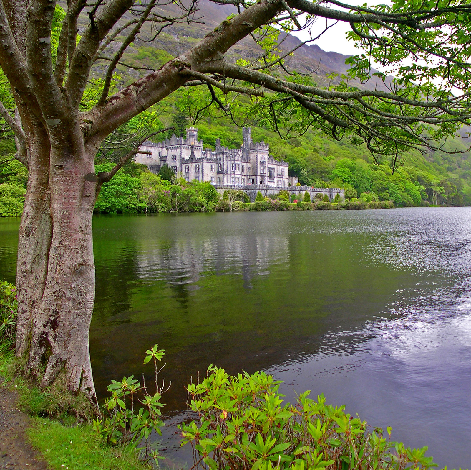 Kylemore Abbey