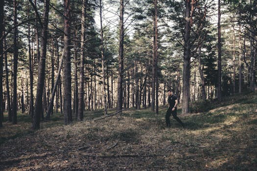 Līgatne Nature Trails