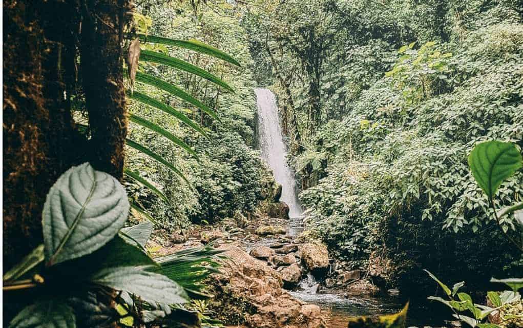 La Paz Waterfall Gardens