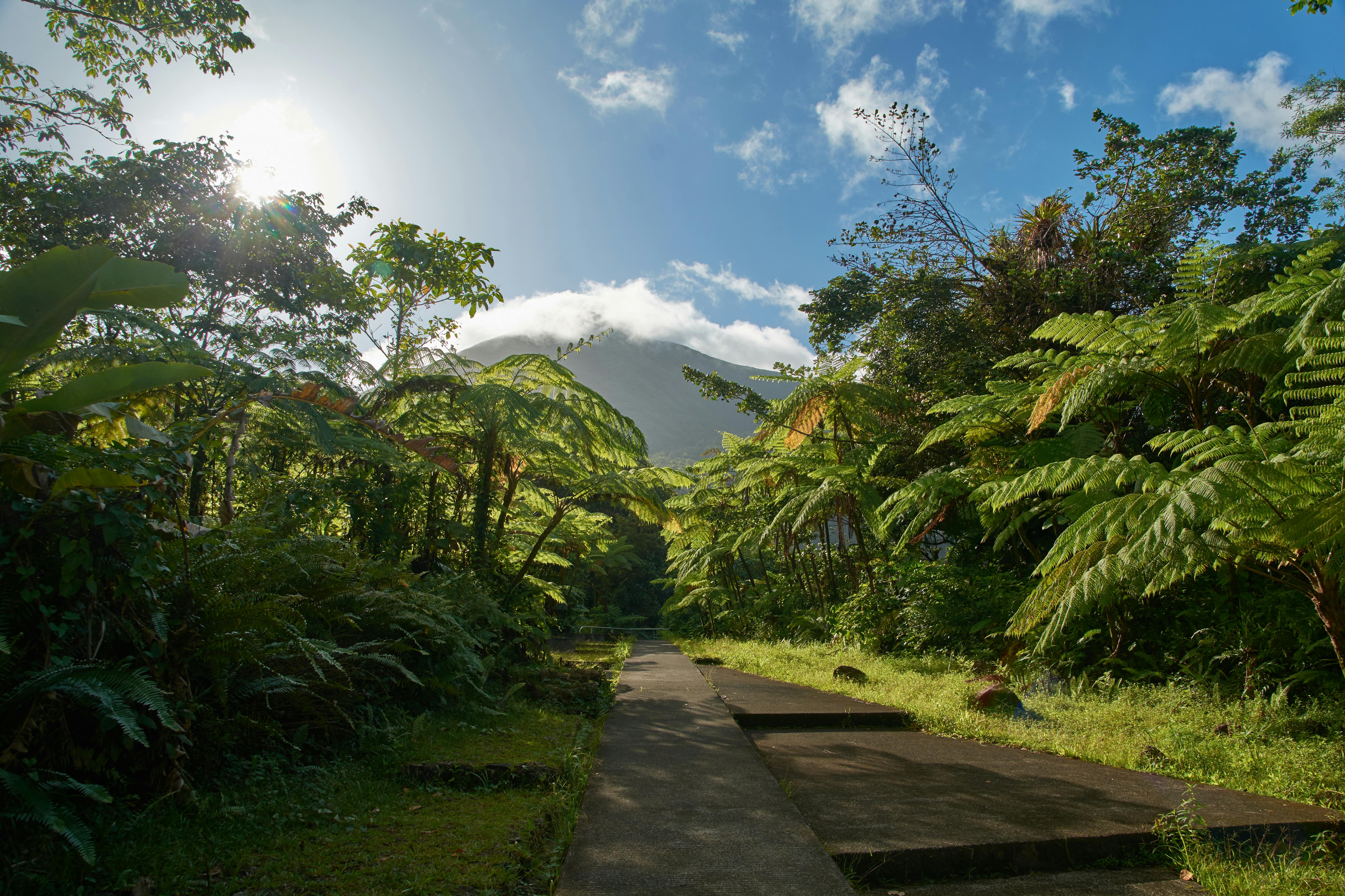 La Soufriere Volcano