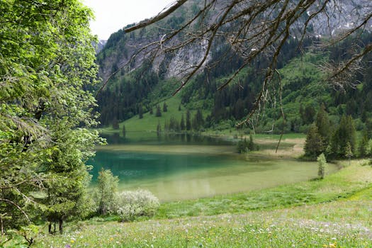 Lac de l'Hongrin