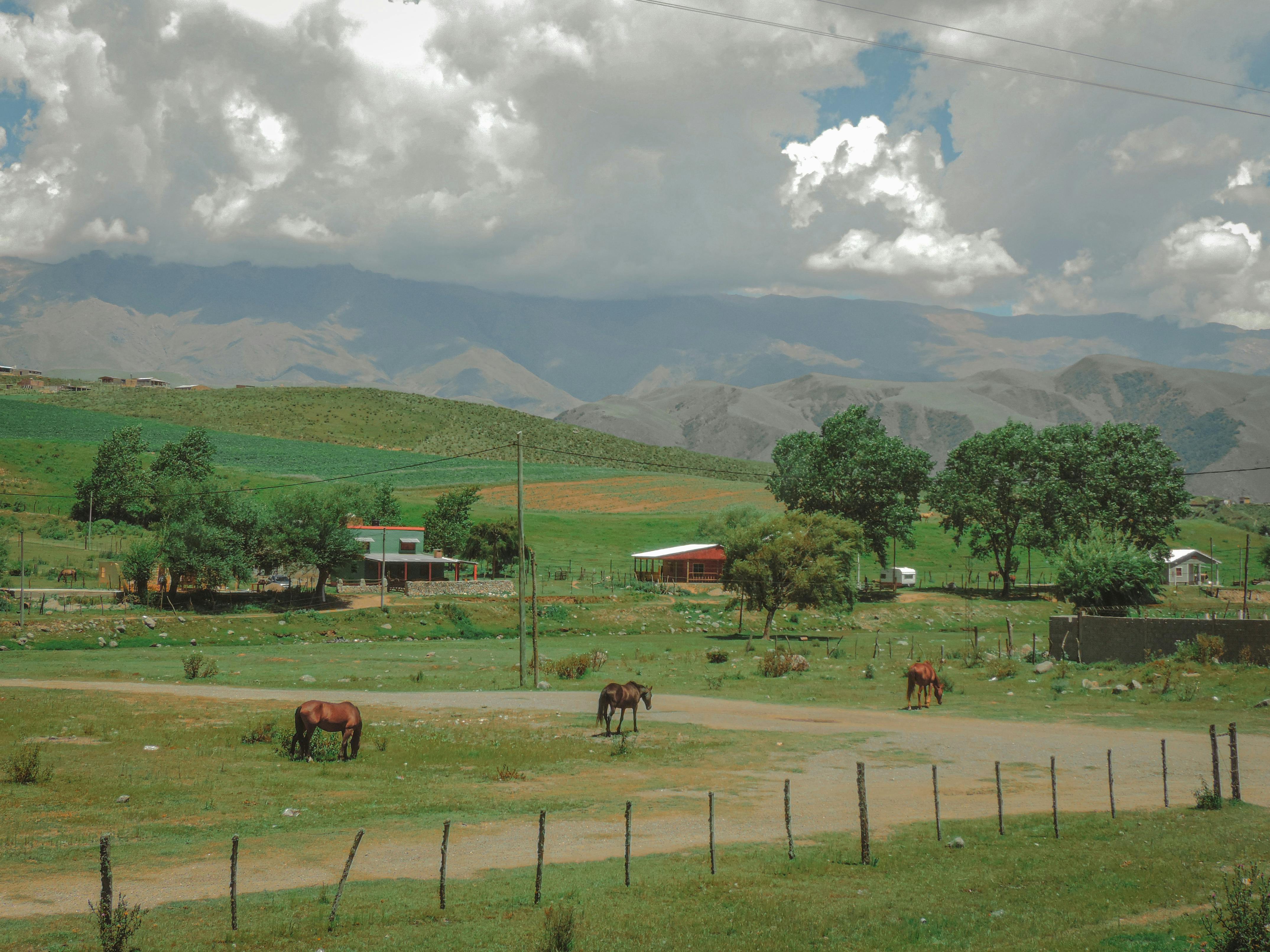 Lago La Angostura