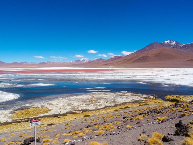 Laguna Colorada