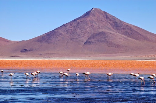 Laguna Colorada (Red Lagoon)