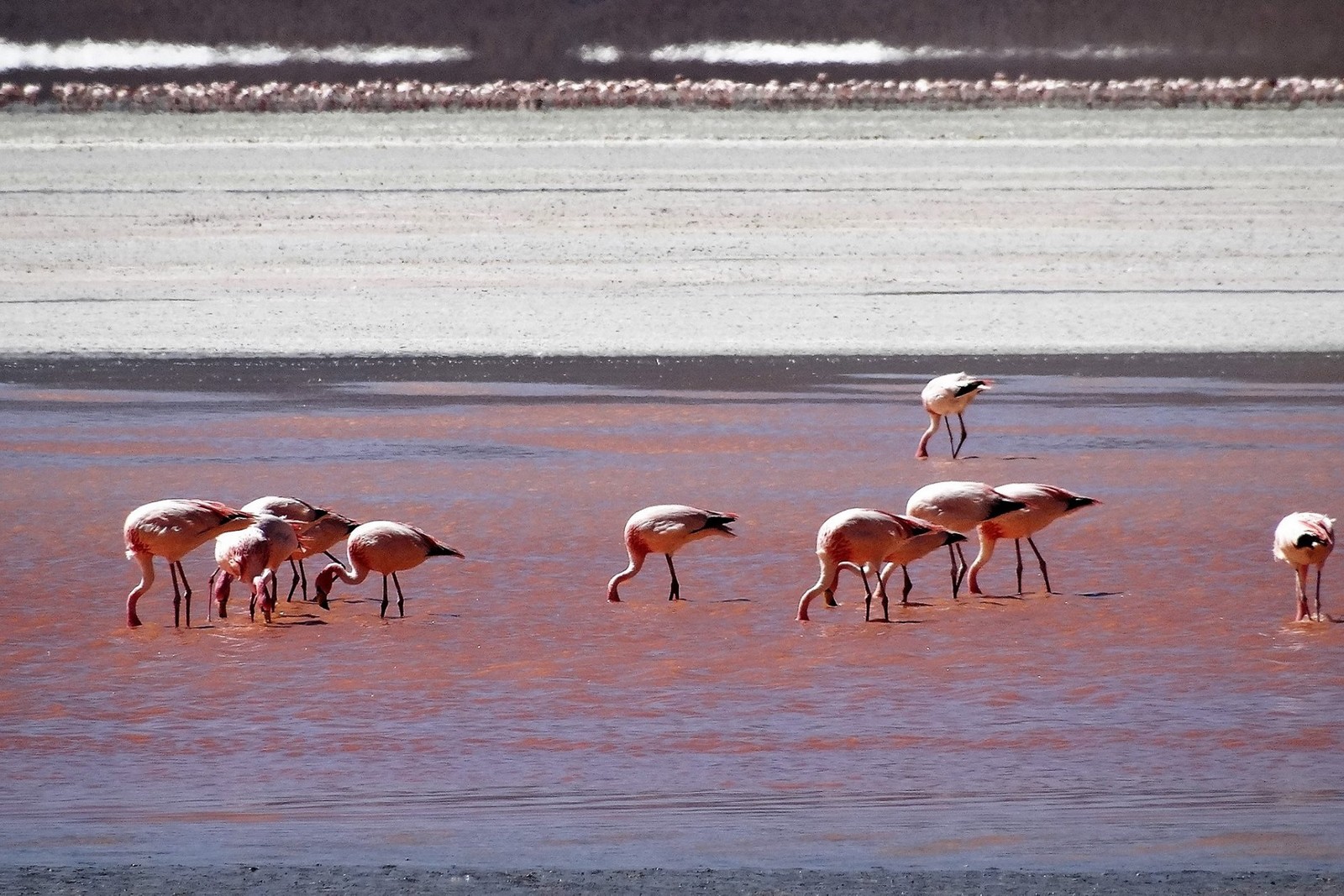 Laguna Salada