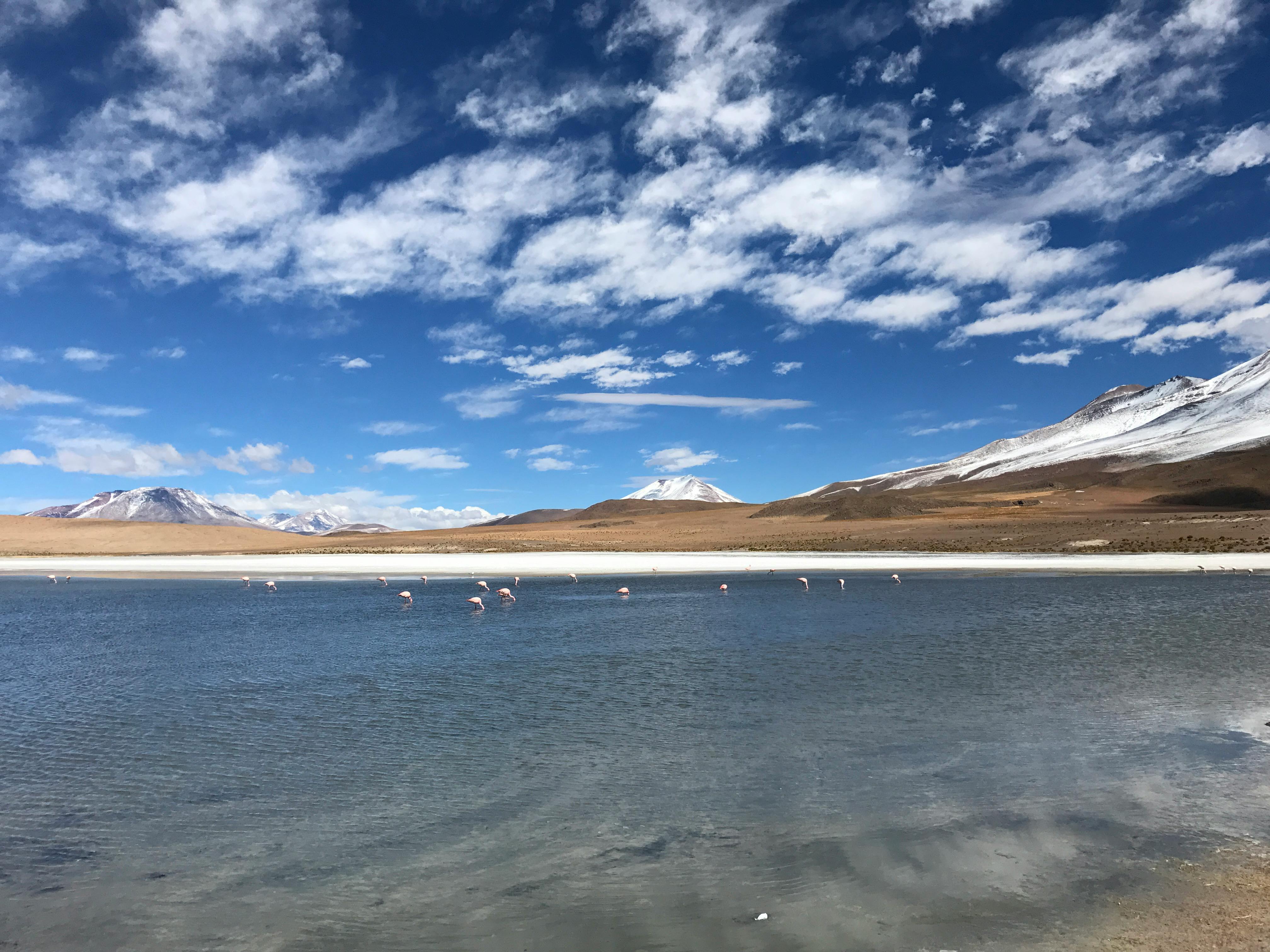 Laguna Verde