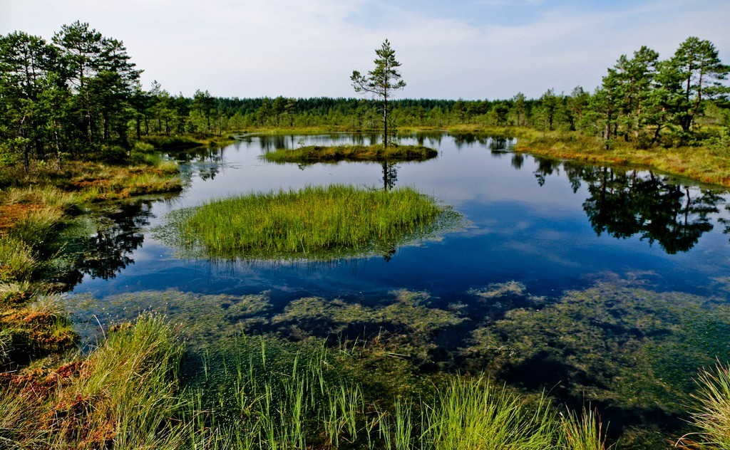 Lahemaa National Park