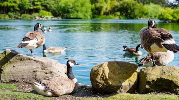 Lake Erie Arboretum at Frontier Park