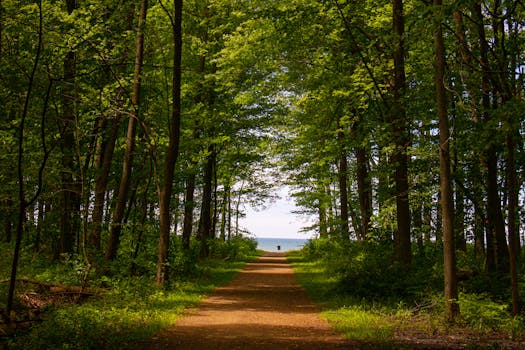 Lake Erie Canopy Tours