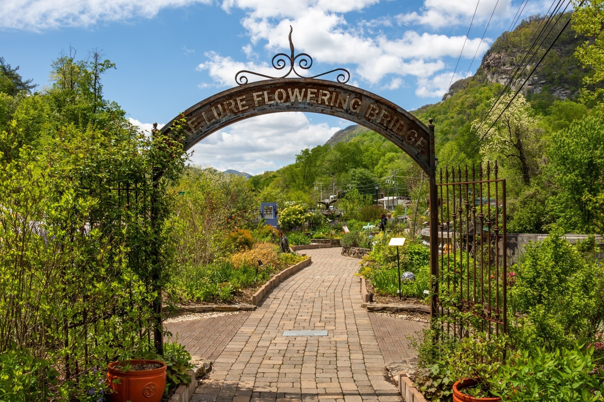 Lake Lure Flowering Bridge