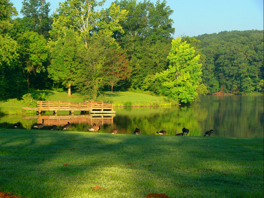 Lake Murphysboro State Park