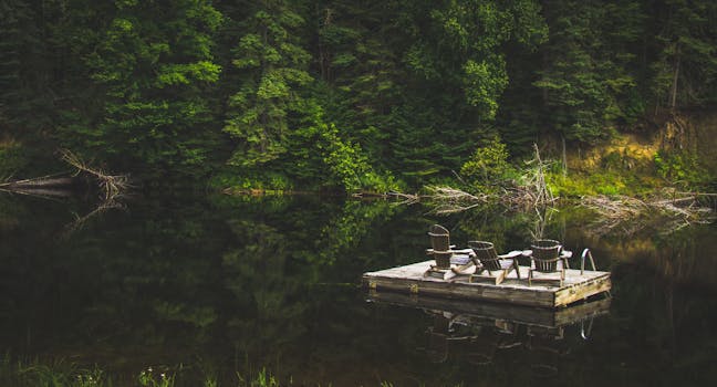 Lake Muskoka