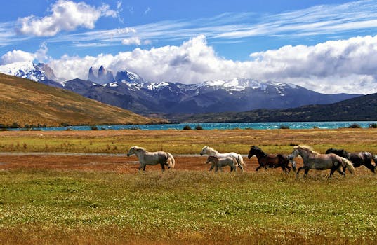 Lake Pehoé