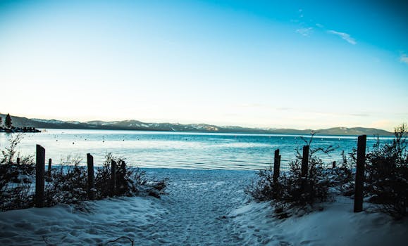 Lake Tahoe Balloons