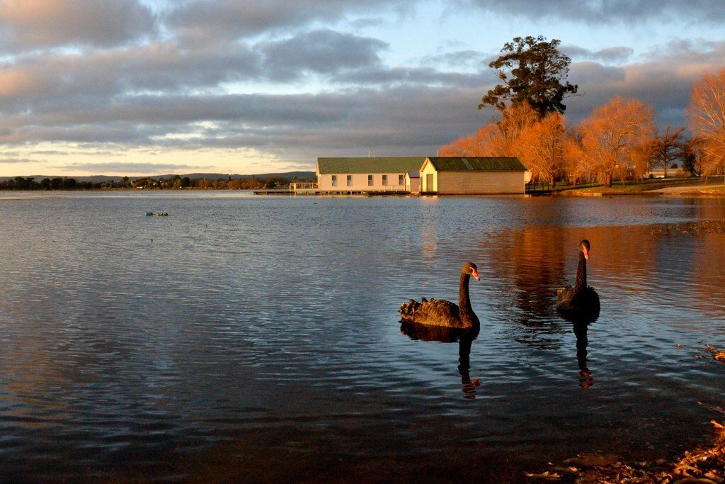 Lake Wendouree