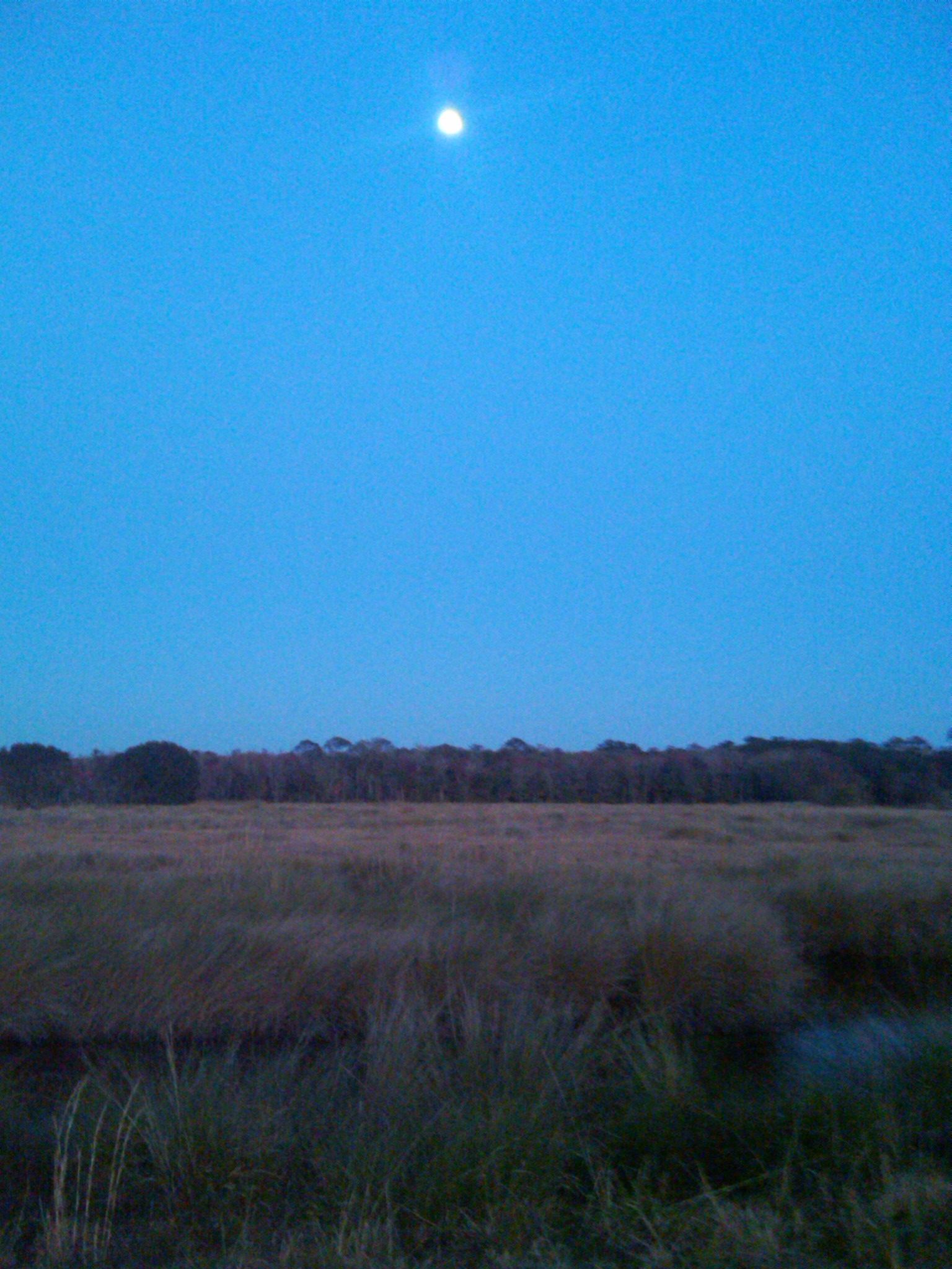 Lake Woodruff National Wildlife Refuge