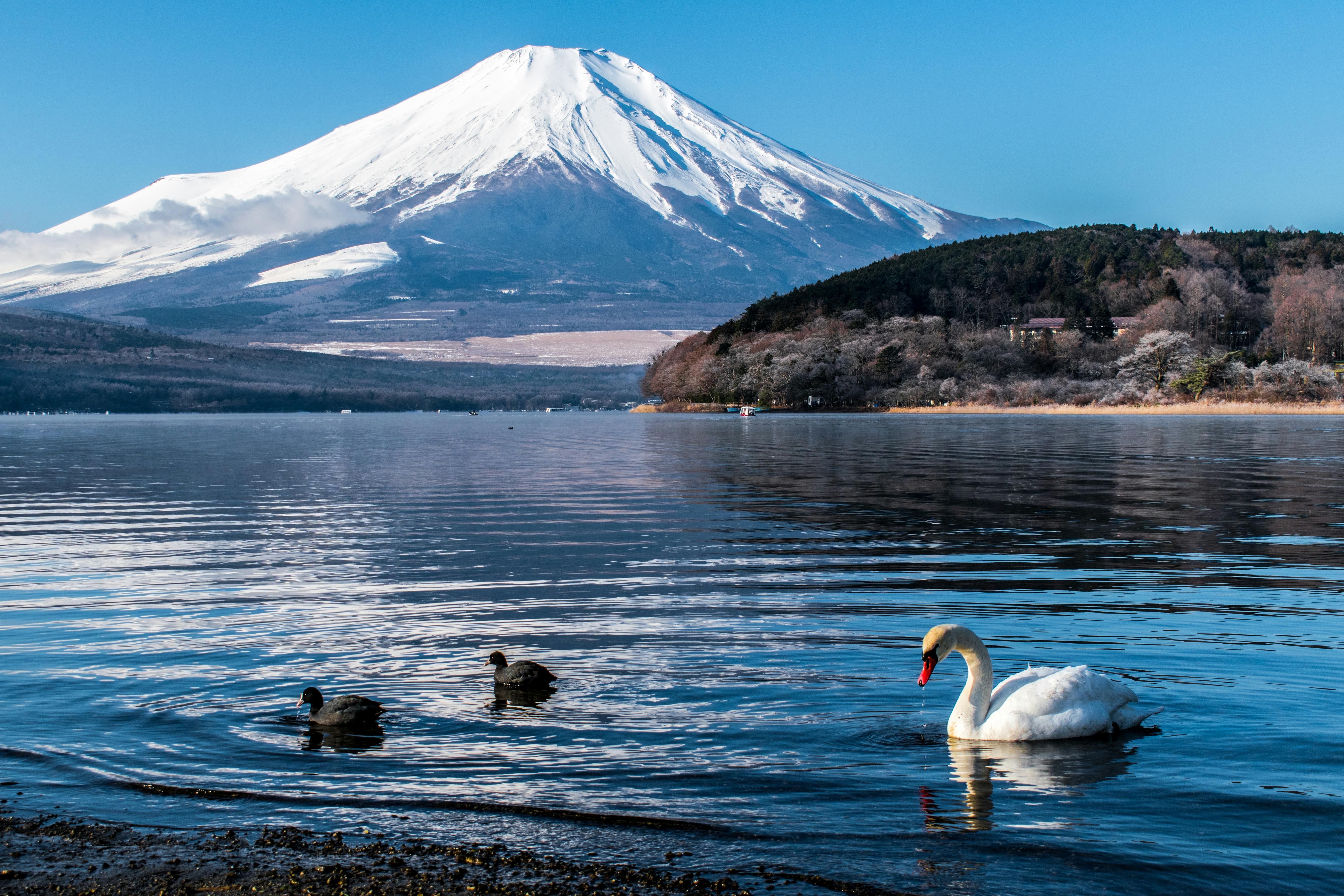 Lake Yamanaka