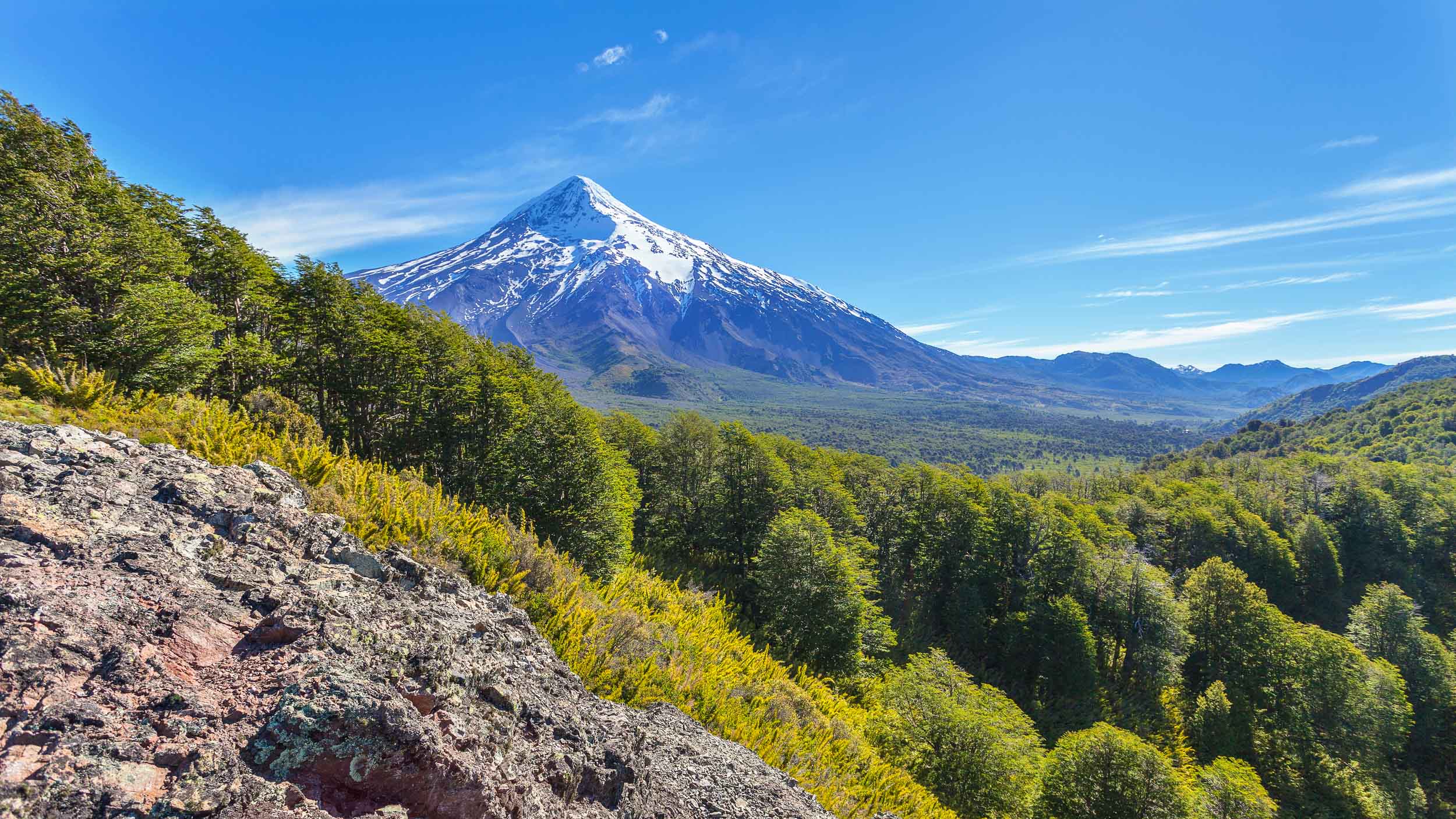 Lanín National Park