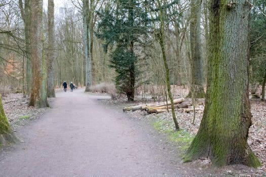 Landgrafenschloss Park