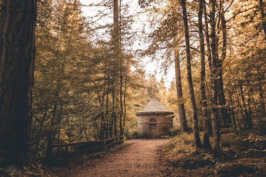 Landmark Forest Adventure Park