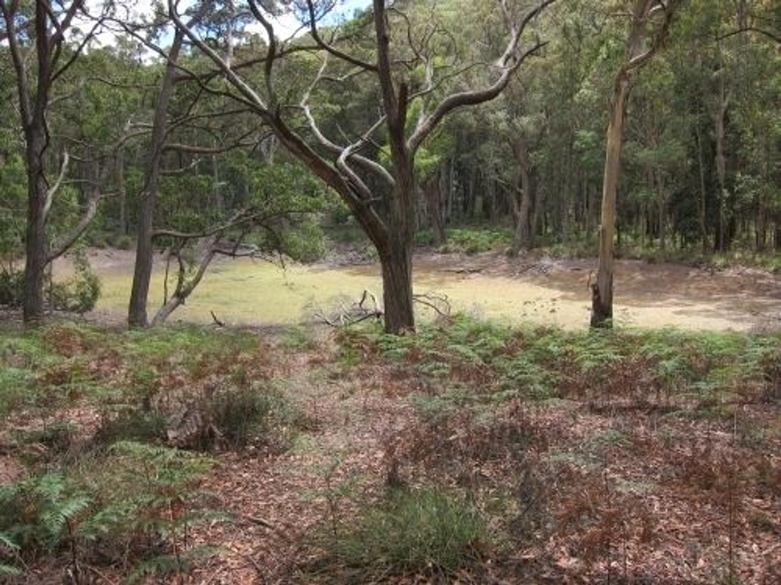 Langi Ghiran State Park