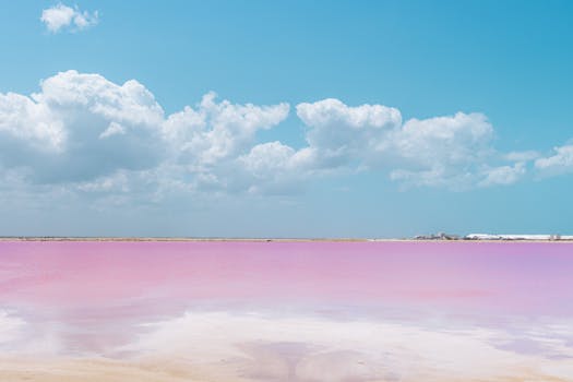 Las Coloradas Pink Lakes