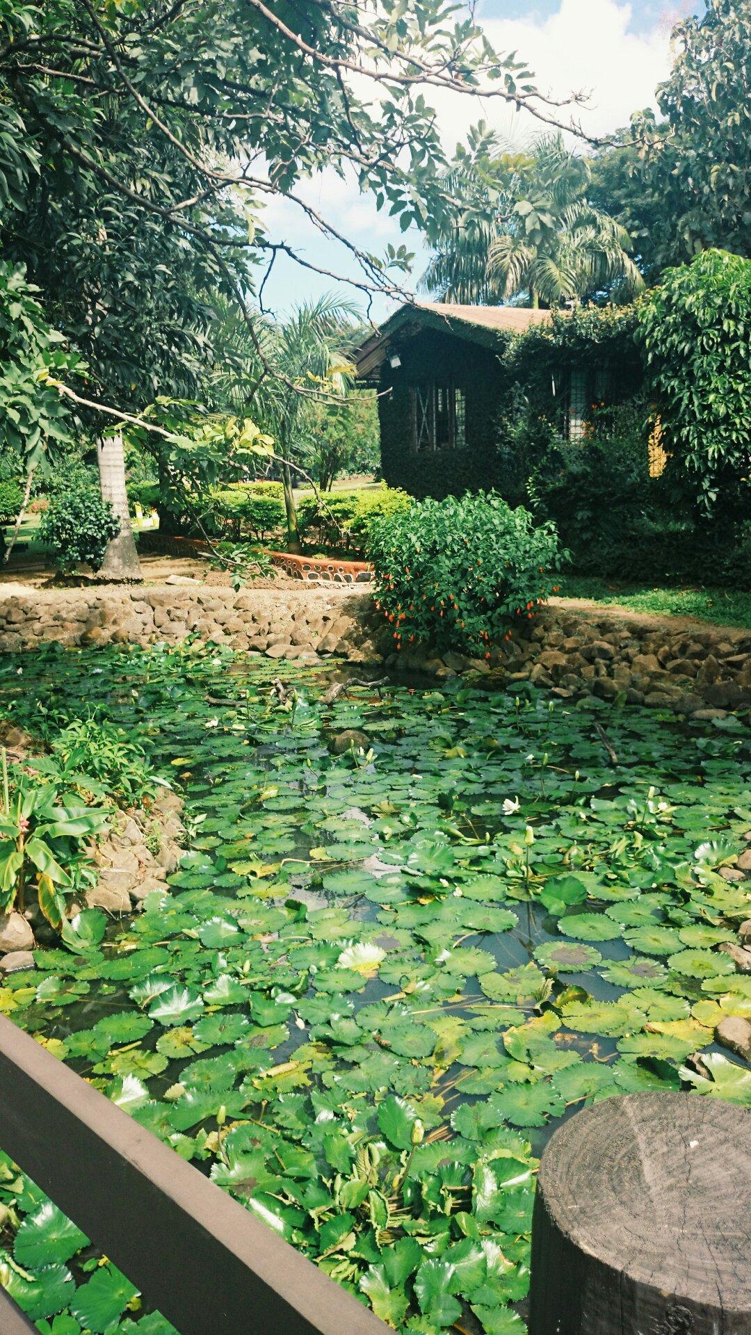 Lautoka Botanical Gardens