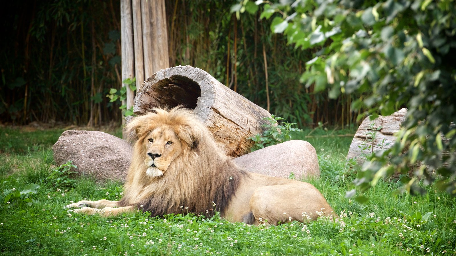 Leipzig Zoo