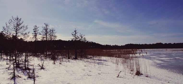 Lemmjõgi River