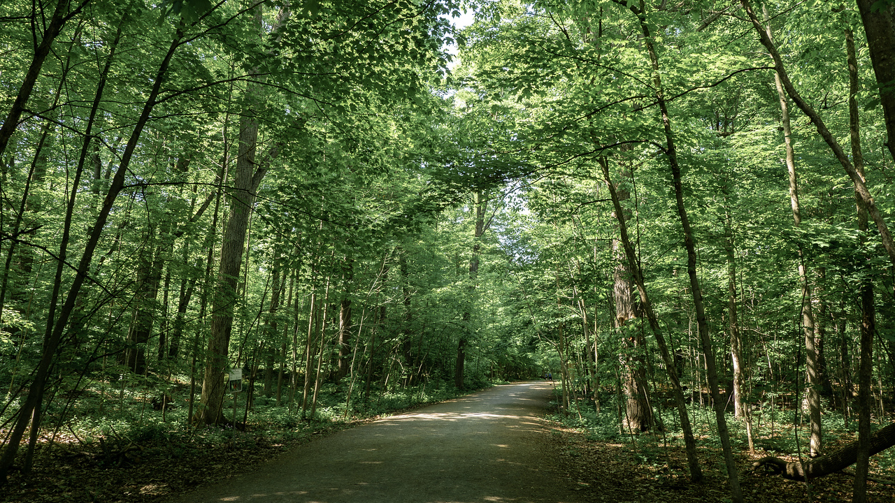 Lemoine Point Conservation Area