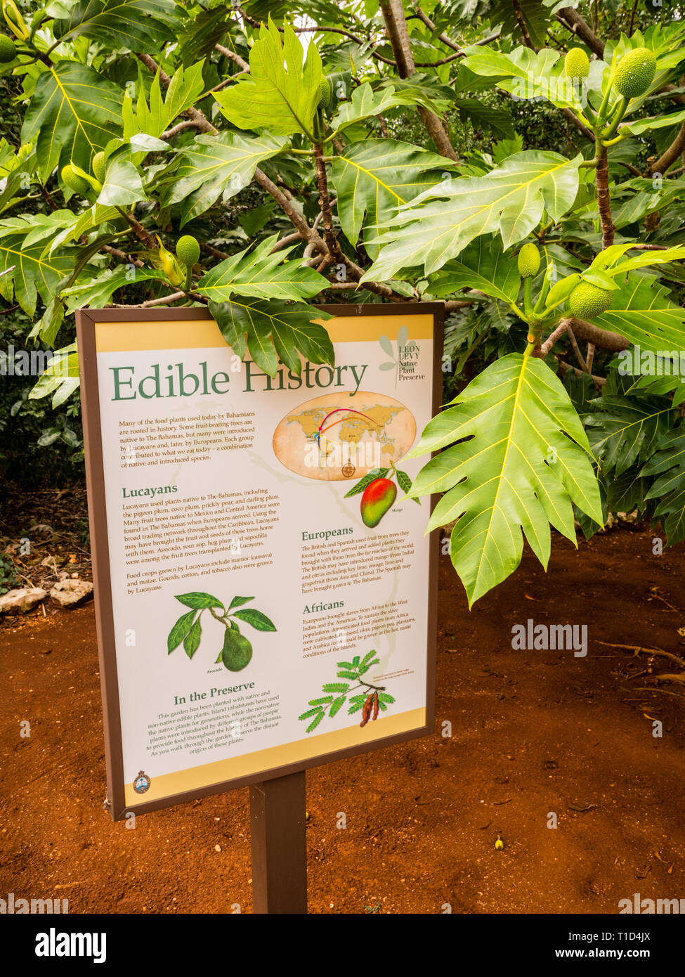 Leon Levy Native Plant Preserve