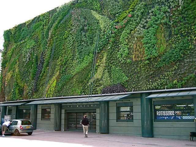 Les Halles d'Avignon