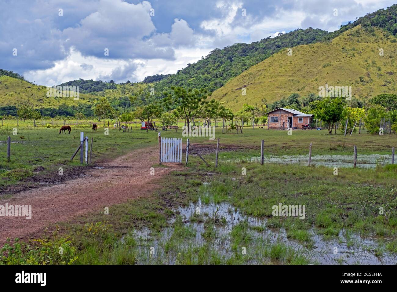 Lethem Market