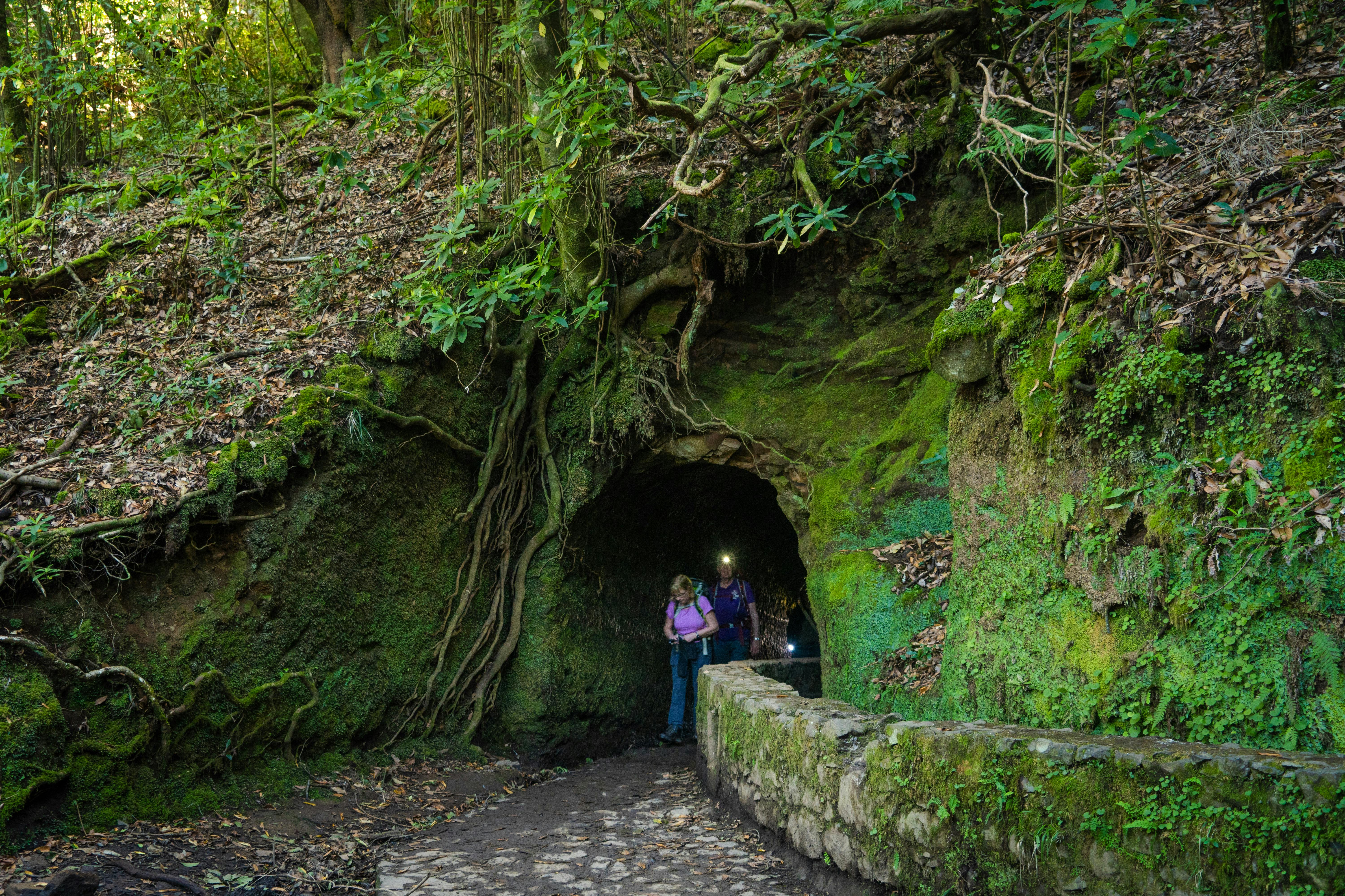 Levada Walks