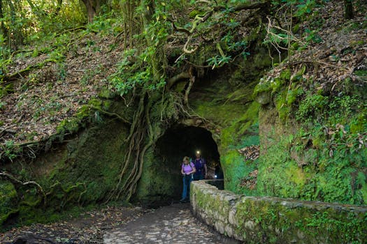 Levada Walks