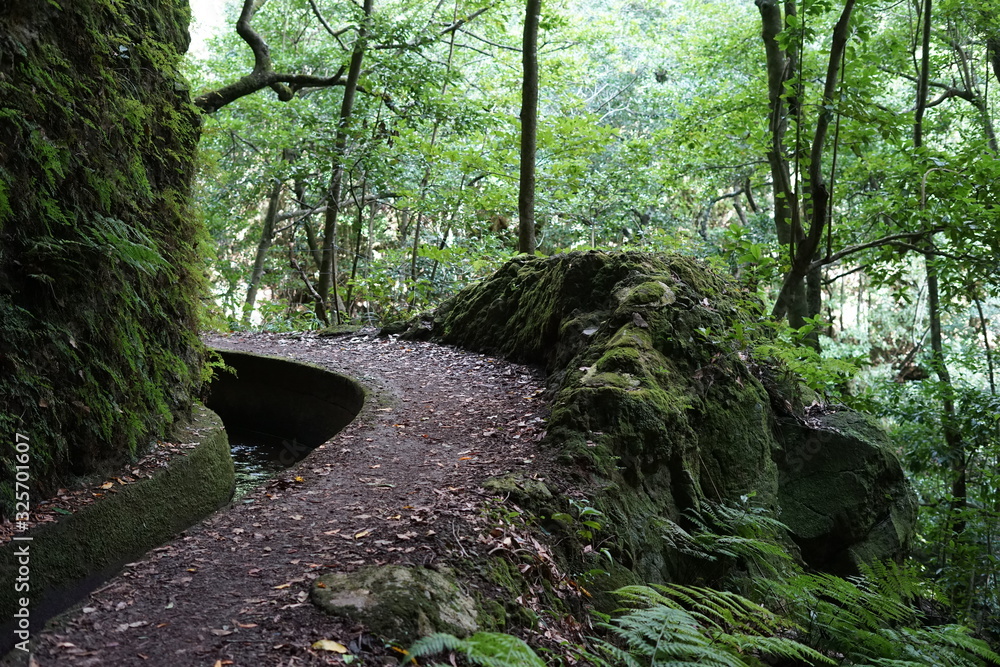 Levada da Ribeira da Janela