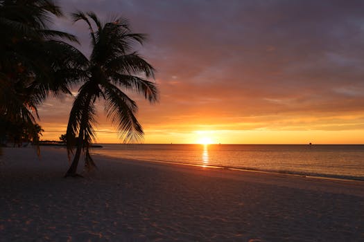 Lido Key Beach