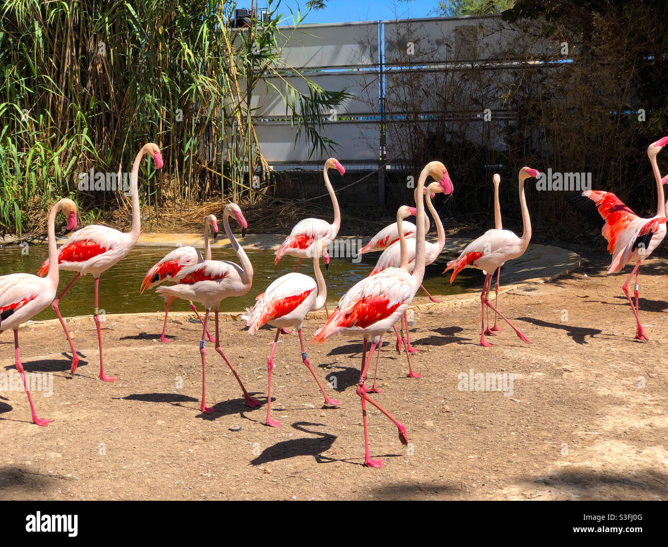 Limassol Zoo