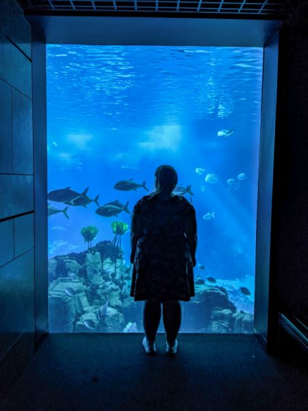 Lisbon Oceanarium