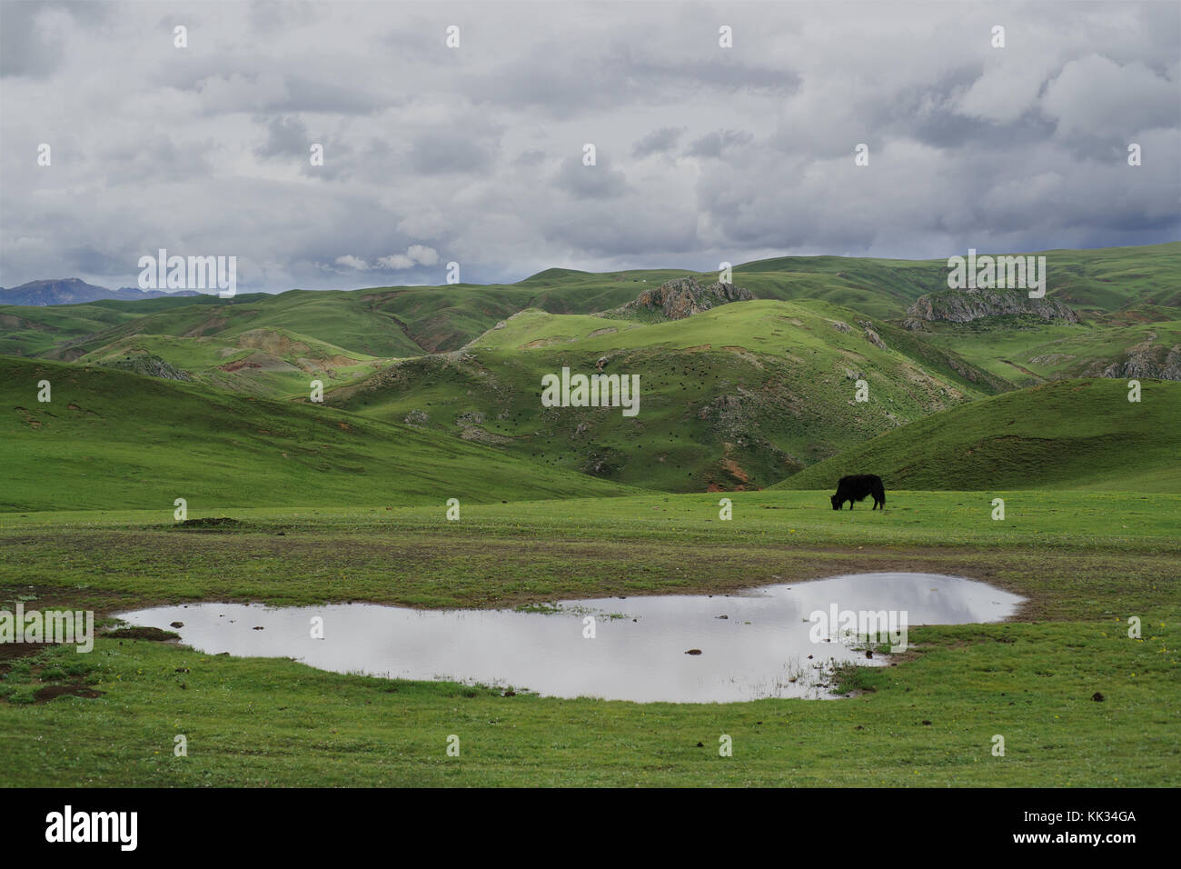 Litang Grassland