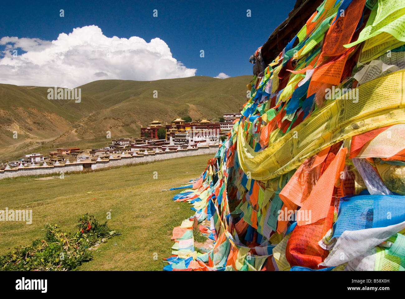 Litang Prayer Flags