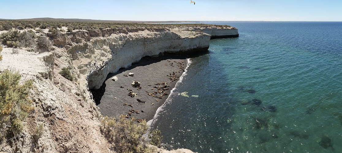 Loberia de Punta Loma