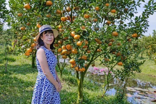 Local Fruit Orchard