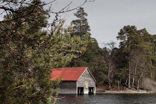 Loch Garten Osprey Centre