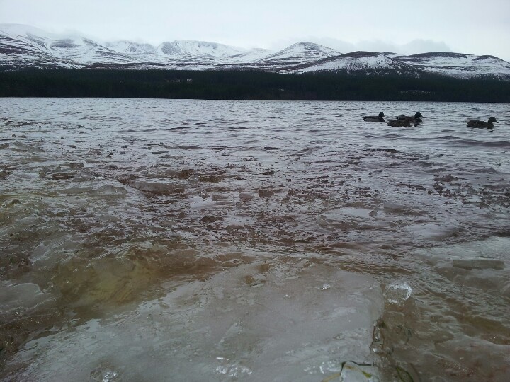 Loch Morlich