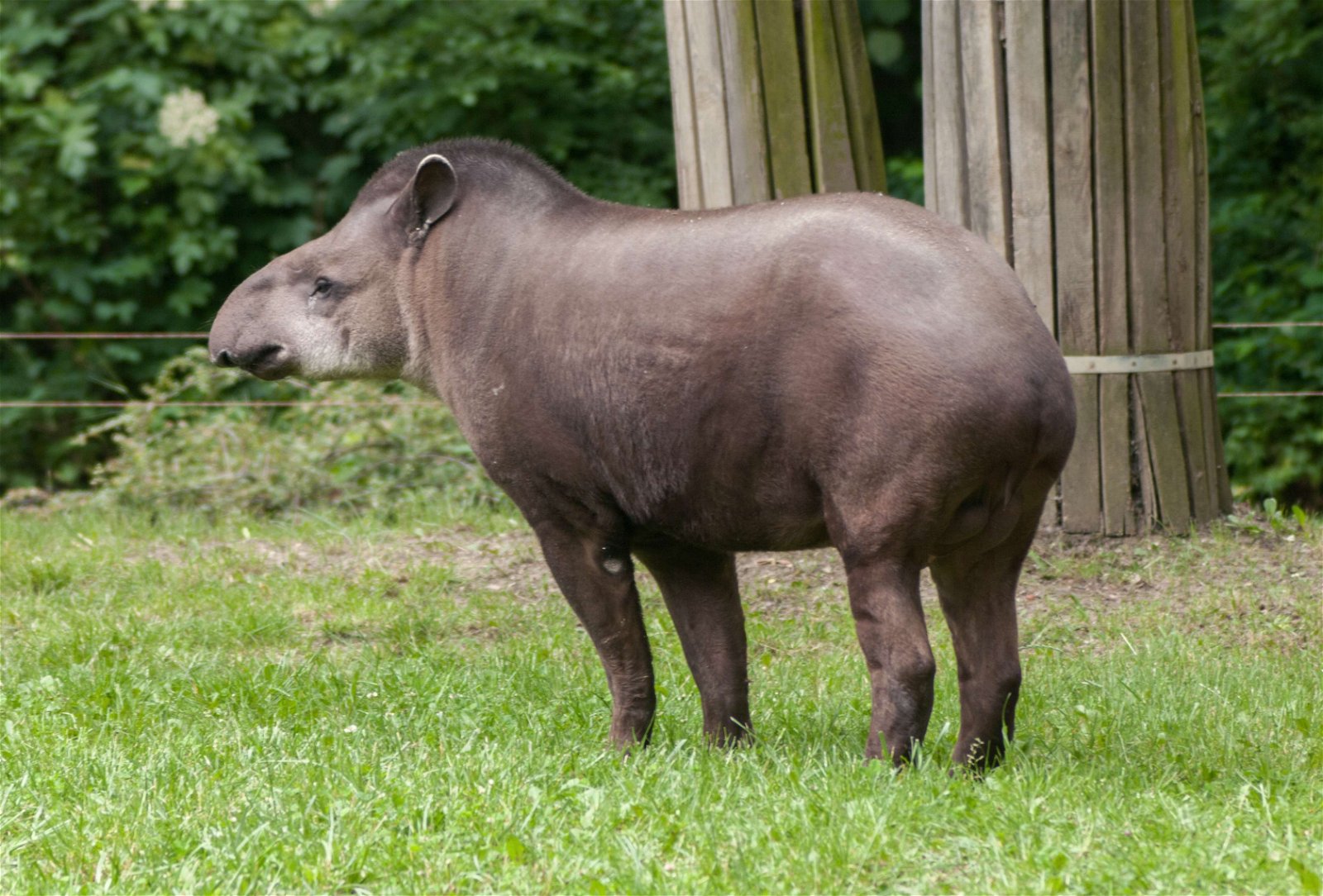 Lodz Zoo